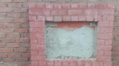 Talwar in his complaint to the deputy commissioner has written "efforts were being made by the land mafia to encroach on the piece of land where the government primary school was proposed."