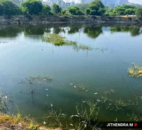 Lakes of Bengaluru: Entry of untreated sewage into Seetharampalya lake ...