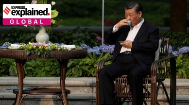 Xi Jinping drinking tea