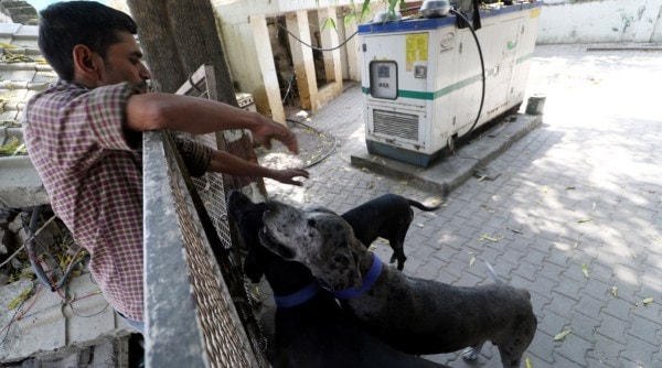 Atiq Ahmad's dogs under the care of the administration in Prayagraj. Express photo by Vishal Srivastav