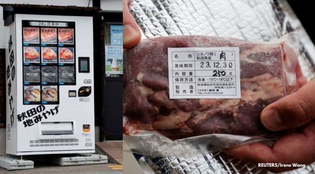 bear meat vending machine japan