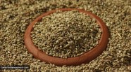 Why Ajwain Seeds Reduce LDL Cholesterol Blood Pressure And Help In 