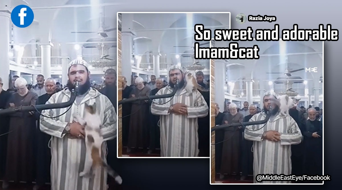 Cat climbs on imam during Ramadan prayers