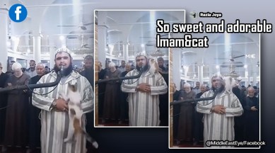 Cat climbs on imam during Ramadan prayers