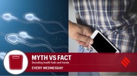 cellphone impact on sperm