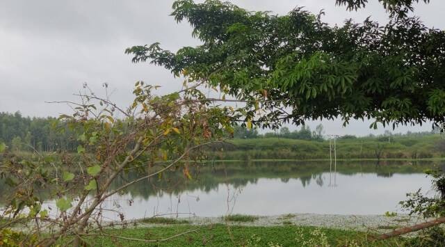 The NGT took suo moto cognizance of The Indian Express report ‘Lakes of Bengaluru: Industrial effluents, raw sewage; stinky tale of Chandapura lake’ that was published on November 21, 2021