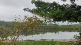 chandapura-lake The NGT took suo moto cognizance of The Indian Express report ‘Lakes of Bengaluru: Industrial effluents, raw sewage; stinky tale of Chandapura lake’ that was published on November 21, 2021