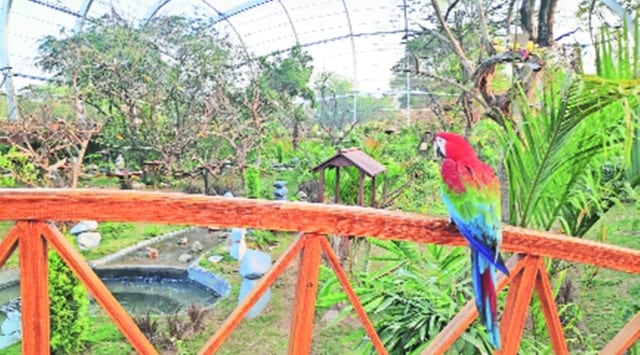 chandigarh nagar van