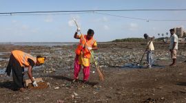 Garbage piles up at Chimbai, Danda beaches as BMC yet to renew contract