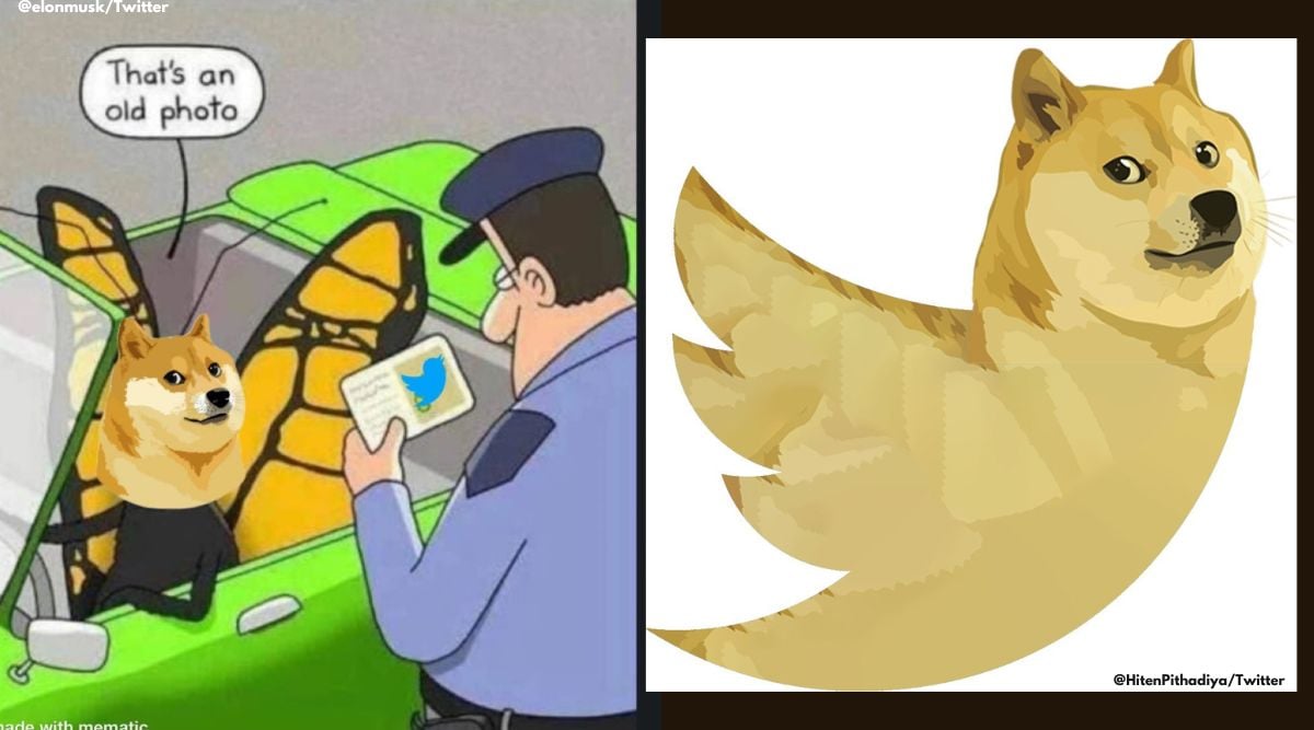 Memes galore after Twitter changes its blue bird logo to Doge meme |  Trending News - The Indian Express