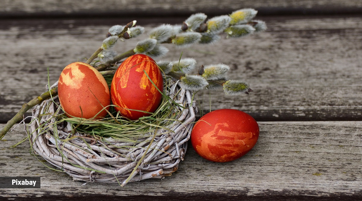 Golden Egg In A Nest With Leaves PNG Images