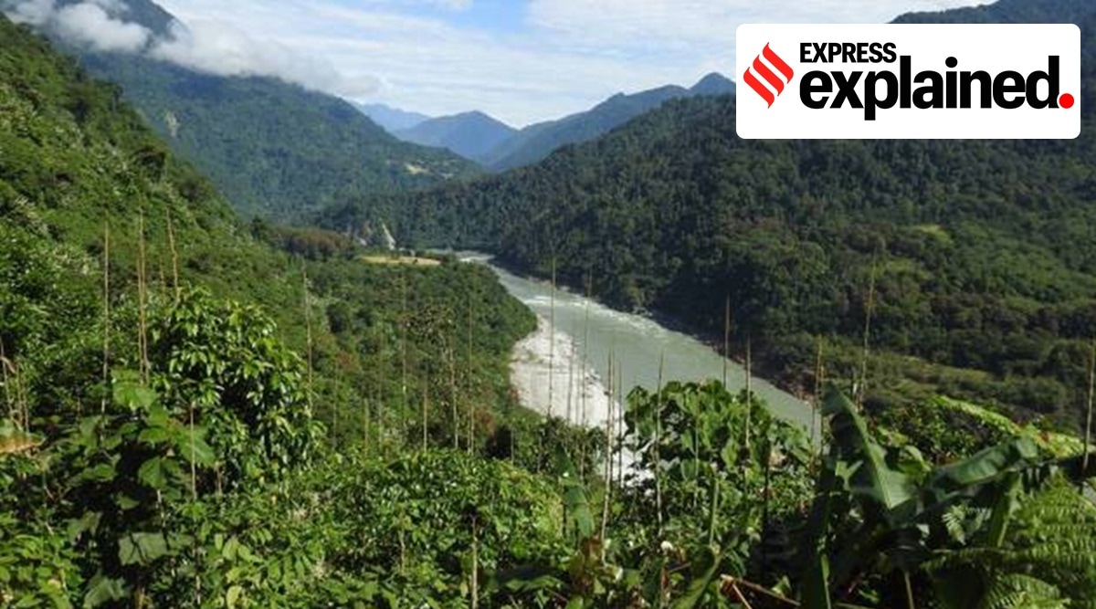 Forest in Arunachal Pradesh.