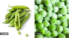 fresh pea vs frozen pea