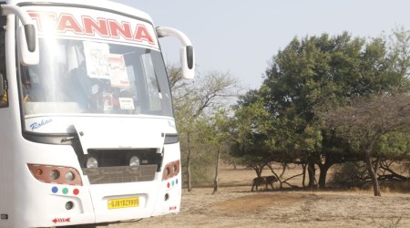 Saurashtrian Tamils visit Gir forest, indian express