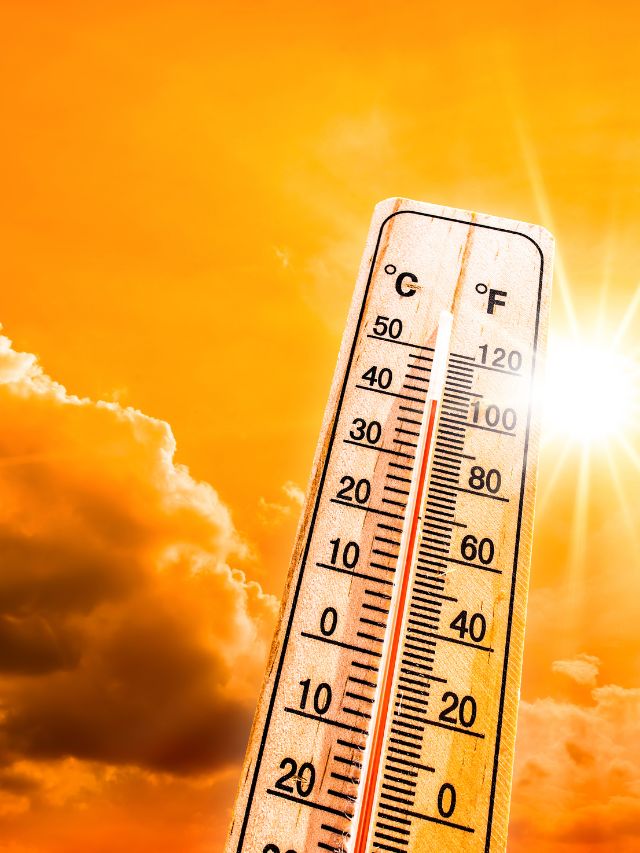 What is a heatwave? - Vimarsana News