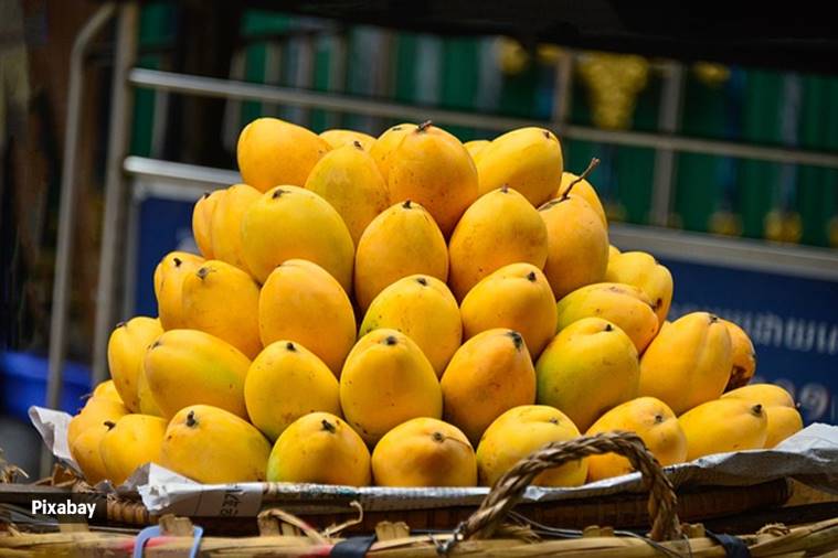 Mangoes are low in calories but high in water and dietary fiber, both of which are good for digestion.