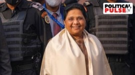 Mayawati, Uttar Pradesh mayor civic polls