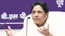 Urban body polls, BSP chief Mayawati, screening of candidates, new quota notification, Supreme Court go-ahead to urban local body polls, reservation for Other Backward Class, draft notification for urban body polls, indian express