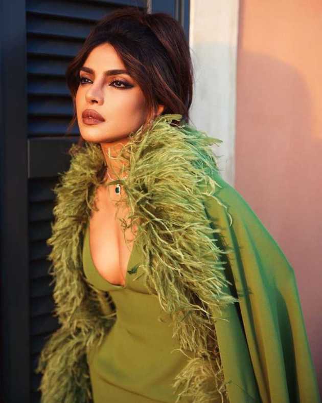 nick, priyanka
