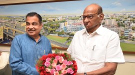 nitin gadkari shard pawar meet