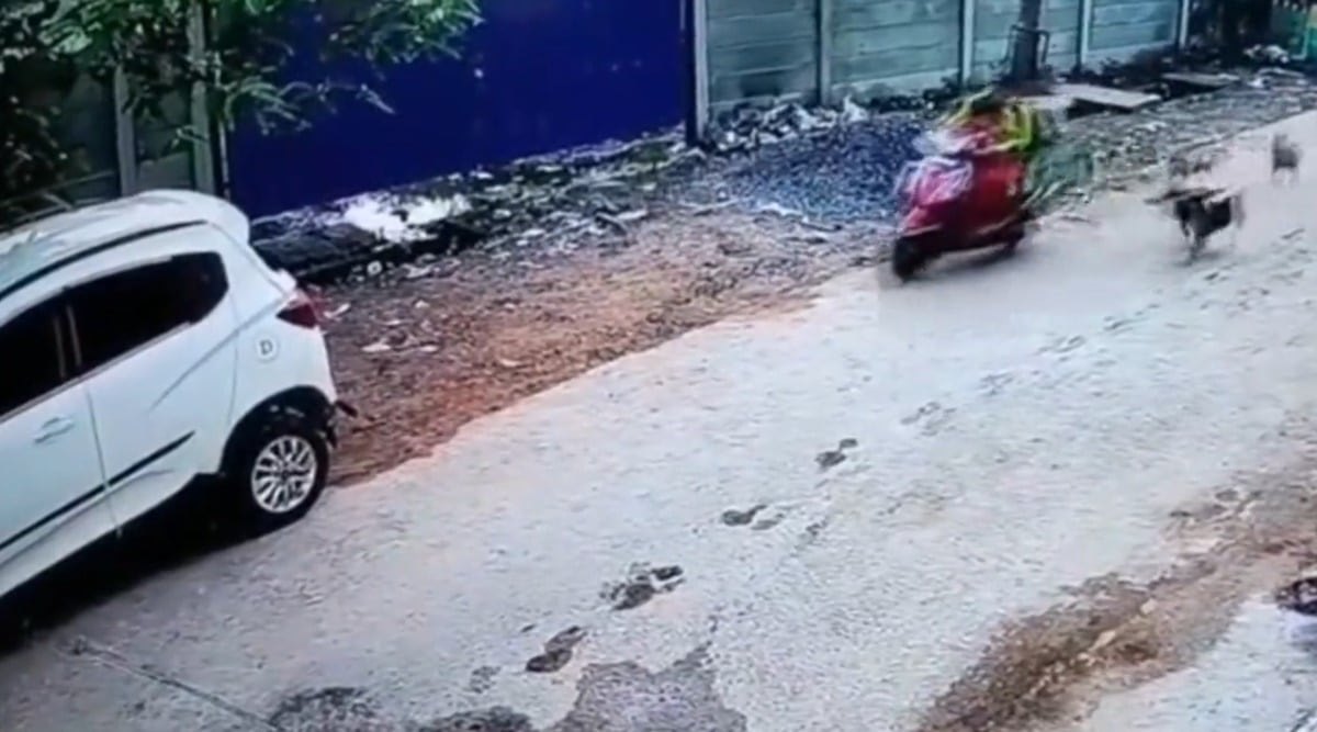 Watch | Scared of stray dogs, woman rams scooty into car in Odisha ...