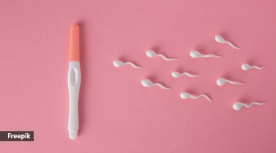 ovulation kits