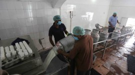 Amul, Gujarat Cooperative Milk Marketing Federation, Karnataka’s milk market, Nandini milk dairy, Indian Express, India news, current affairs