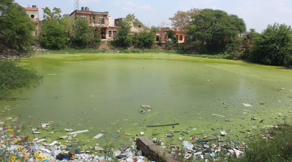 can-t-afford-water-body-in-middle-of-human-settlements-panchkula