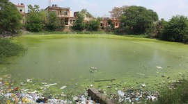 panchkula pond