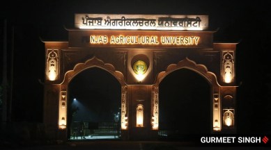 International Year of Millets, Millet-based bakery products, Nutritional benefits of millets, Skill Development Centre, Punjab Agricultural University, Rural women training course, Dr. GS Buttar, Food and Nutrition department, Food Science and Technology department, Traditional diet, Ragi (finger millet), Jowar (sorghum), Bajra (pearl millet), Health-related diseases, Food security, Climate change, Caramel cake, Sponge cake, Eggless cake, Self-reliance, Cultivation of millets, Agronomic practices, Jowar and Bajra cultivation, Processing techniques, Nutritional and health benefits, Use in animal feed, Marketing