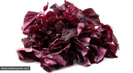 Red spinach leaves isolated on white background