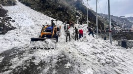 sikkim avalanche