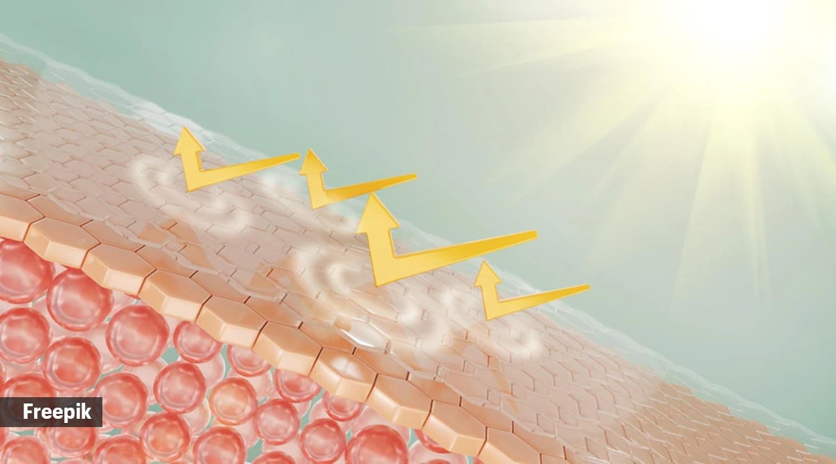 A healthy skin barrier is extremely important; here’s how to protect