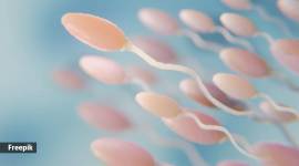 Dutch sperm donor banned