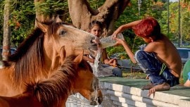 Kolkata weather, Thunderstorm, drizzle, heat spell in Kolkata, more rain, Met dept, heatwave, dip in murcury, indian express, indian express news