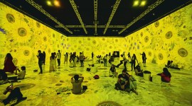 Vincent van Gogh art, Vincent van Gogh 3D showcase opens, Gurgaon Vincent van Gogh, Gurgaon, Delhi news, New Delhi, Indian Express, current affairs