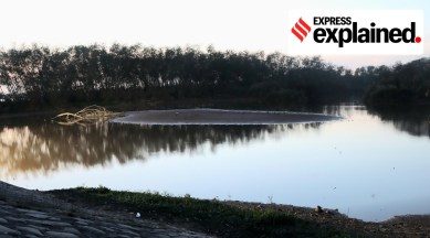 water body census