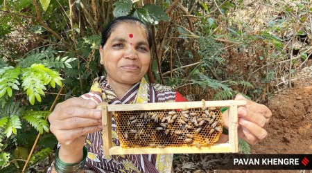 A woman holds beekeeping tray