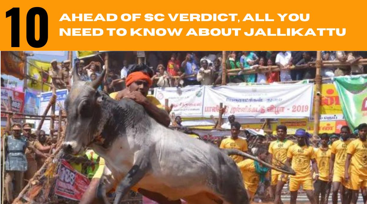 SC upholds validity of Jallikattu here’s all you need to know about