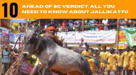 Jallikattu, SC on Jallikattu, SC news, Chennai news