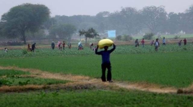 Andhra Pradesh land