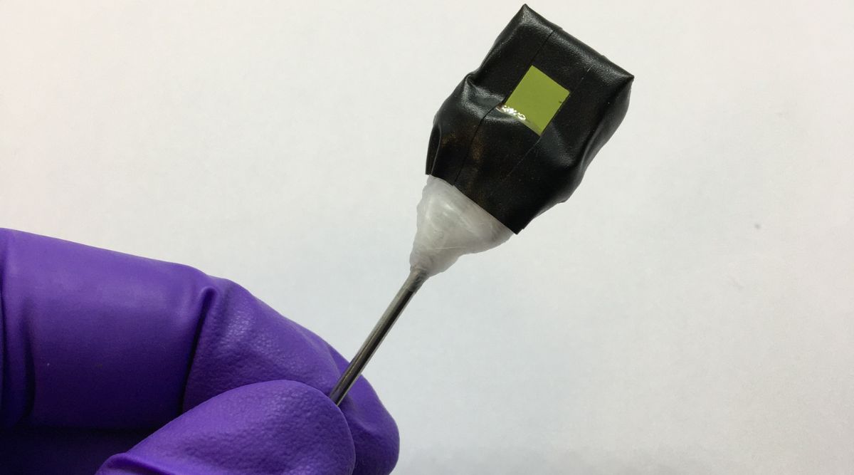 artificial leaf held by a gloved hand