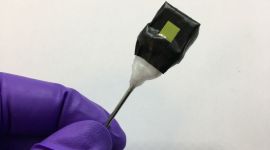 artificial leaf held by a gloved hand