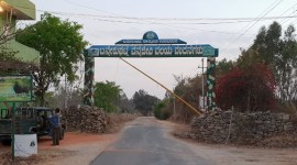 Bannerghatta National Park (BNP)