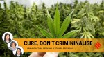 legal experts write on the need to cure drug users and rehabilitate them, instead of criminalising them