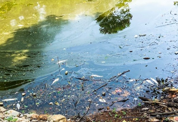 Bengaluru lake Challakere