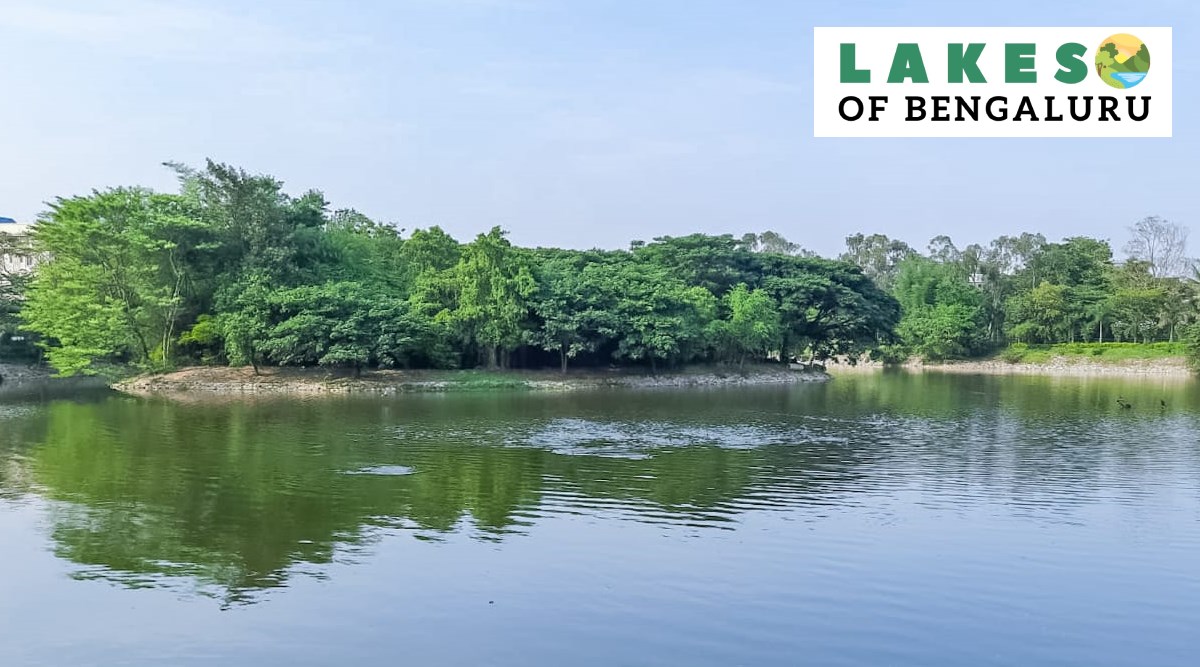 Lakes Of Bengaluru: Concern Over Untreated Sewage As Challakere Lake ...