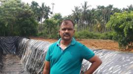 Lawyer who fought polls: SC ponders pulling out Naik name for HC bench