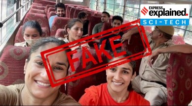 Fake image of Vinesh Phogat and Sangeeta Phogat