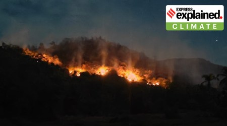 photo shows hills in Goa on fire.